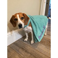 Рушник   махра Сірозелений    50/90 100 400                 36979