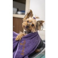 Рушник   махра Бузковий    50/90 100хб 400                 36994