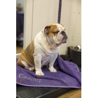 Рушник   махра Бузковий    70/140 100хб 400                 36994